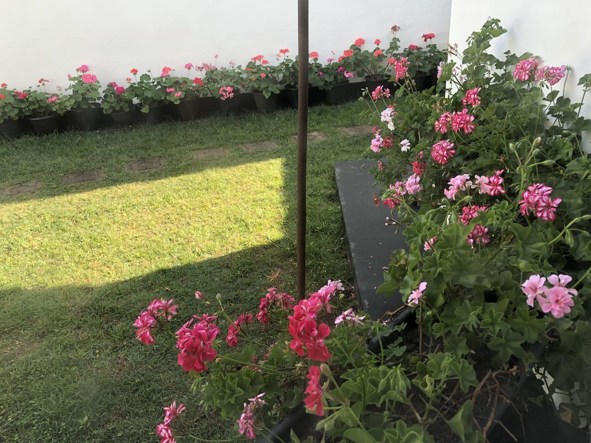 Bungalow 28 Nuwara Eliya Dış mekan fotoğraf