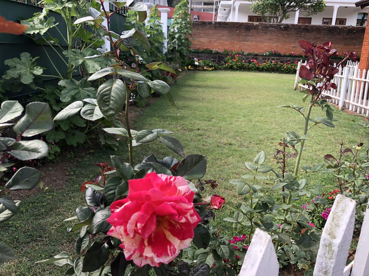 Bungalow 28 Nuwara Eliya Dış mekan fotoğraf